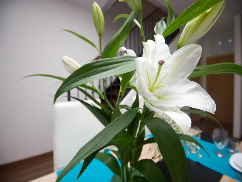 Oyo Style Apartments Puerto Βαλένθια Εξωτερικό φωτογραφία